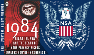 RISAA Section 207 NSA